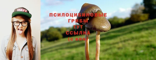 а пвп мука Печоры