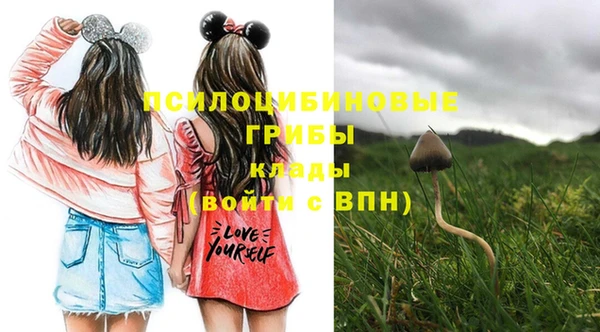 твердый Осинники