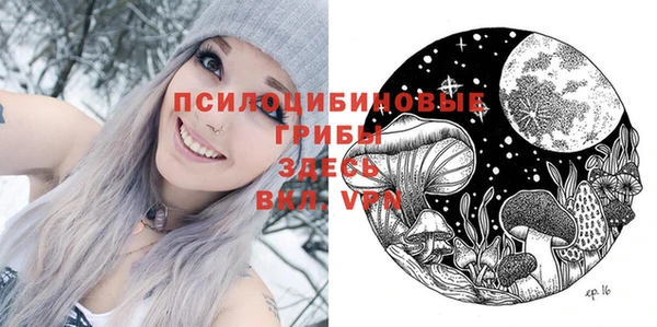 Альфа ПВП Нягань